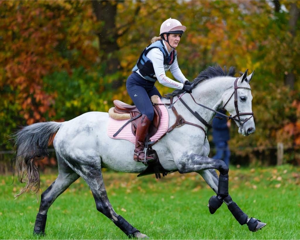 Bloedmooie schimmelruin, Dieren en Toebehoren, Paarden, Ruin, L, 165 tot 170 cm, 7 tot 10 jaar