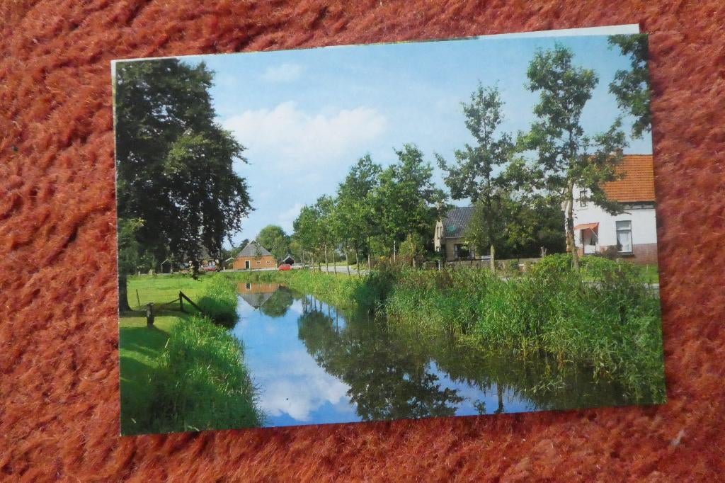 De Wilp 35, Verzamelen, Ansichtkaarten | Nederland, Verzenden, Groningen