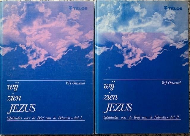 Wij zien Jezus, Bijbelstudie Hebreeën; Willem J. Ouweneel, Boeken, Godsdienst en Theologie, Zo goed als nieuw, Ophalen of Verzenden