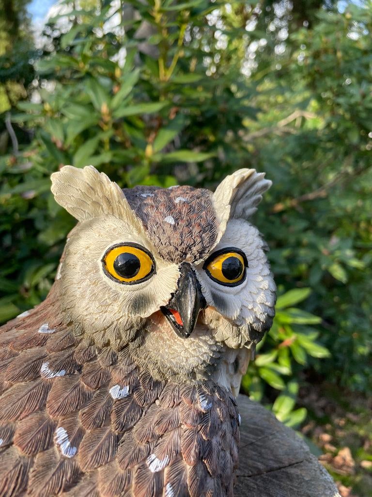 Beeld grijze uil, tuin, bomen, gazon, vijver 30cm, Ophalen of Verzenden, Nieuw, Kunststof, Dierenbeeld