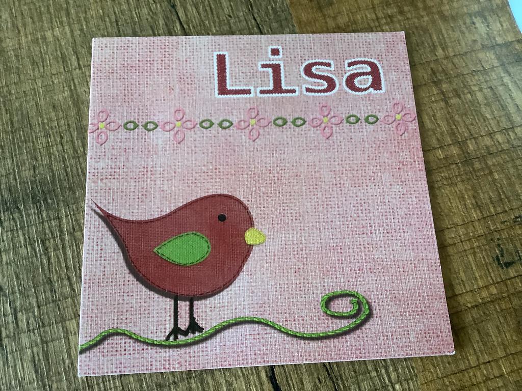 Lisa 2011.   Hoek van Holland, Ophalen of Verzenden, 2000 tot heden