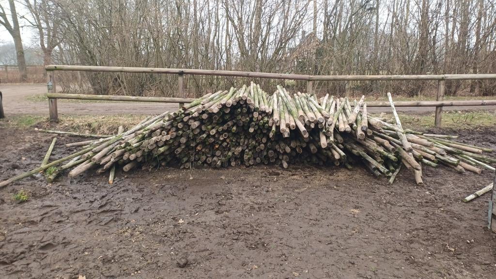 Weidepalen, Dieren en Toebehoren, Stalling en Weidegang