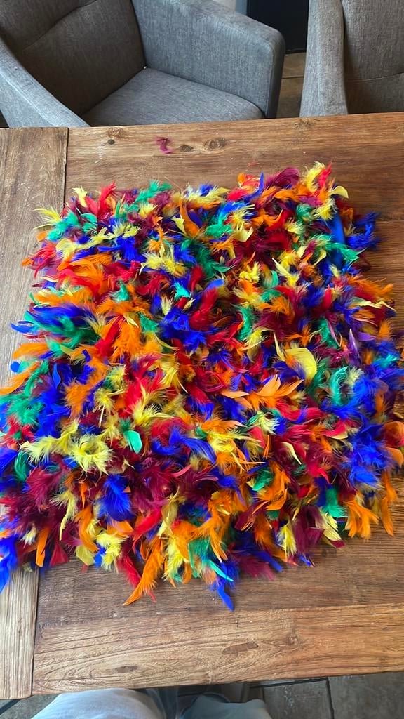 Loopgroep vogel, Ophalen of Verzenden, Zo goed als nieuw, Maat 46/48 (XL) of groter, Carnaval