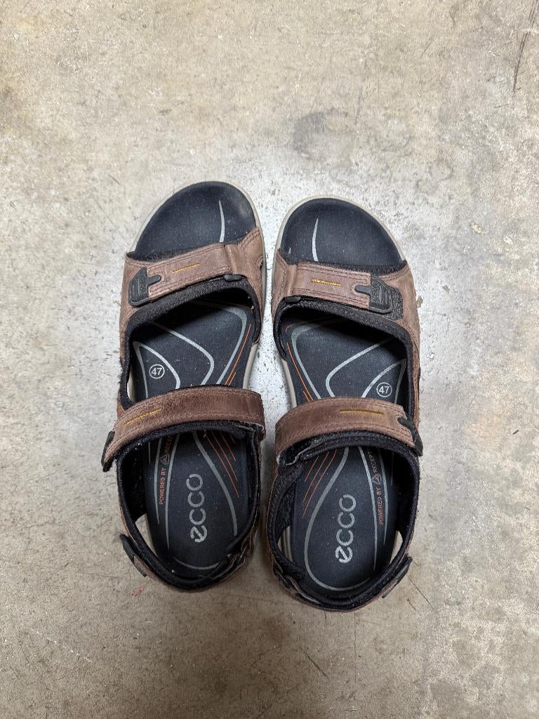 ECCO heren sandaal maat 47 even gebruikt maar was te klein, Sandalen, Ecco, Bruin, Ophalen of Verzenden