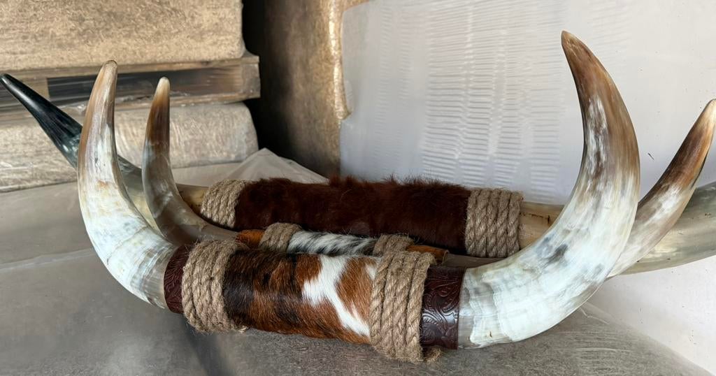 Longhorn, Verzamelen, Dierenverzamelingen, Nieuw, Opgezet dier, Ophalen of Verzenden