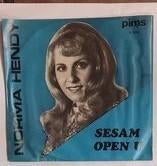 Vinylsingles normaal hendy gezocht, Ophalen of Verzenden, Zo goed als nieuw, Overige formaten, Levenslied of Smartlap