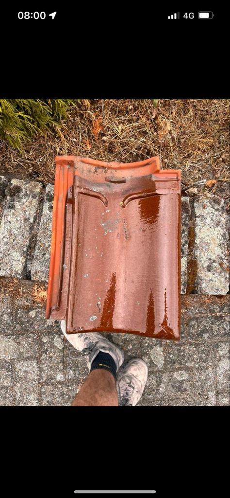 GRATIS Gebroeders Laumans Tegelen Dakpannen - Keramisch, Ophalen, Gebruikt, Steen of Klei, 15 m² of meer