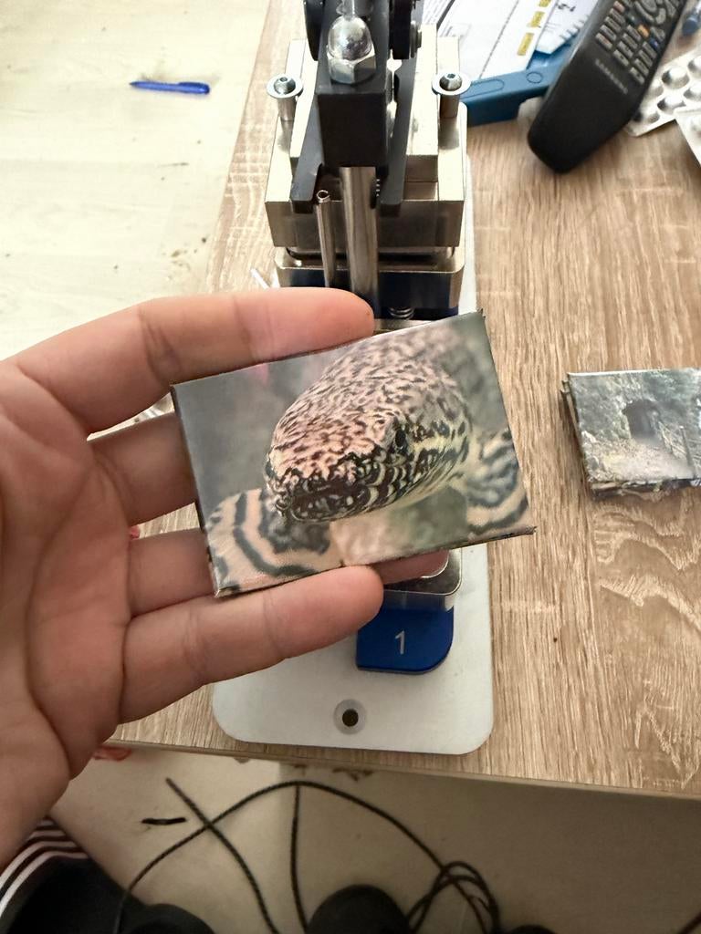 Koelkastmagneet met kwastvinsnoek, Ophalen of Verzenden, Nieuw, Overige typen