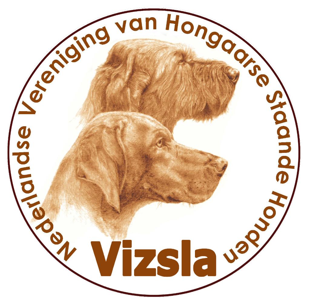 Vizsla pup, Overige rassen, 8 tot 15 weken, Geslacht onbekend, Meerdere