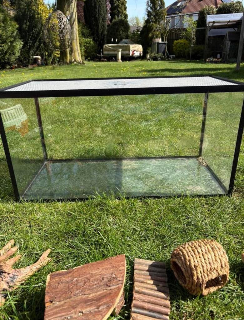 Terrarium, Dieren en Toebehoren, Kooi, Minder dan 75 cm, Zo goed als nieuw, Ophalen
