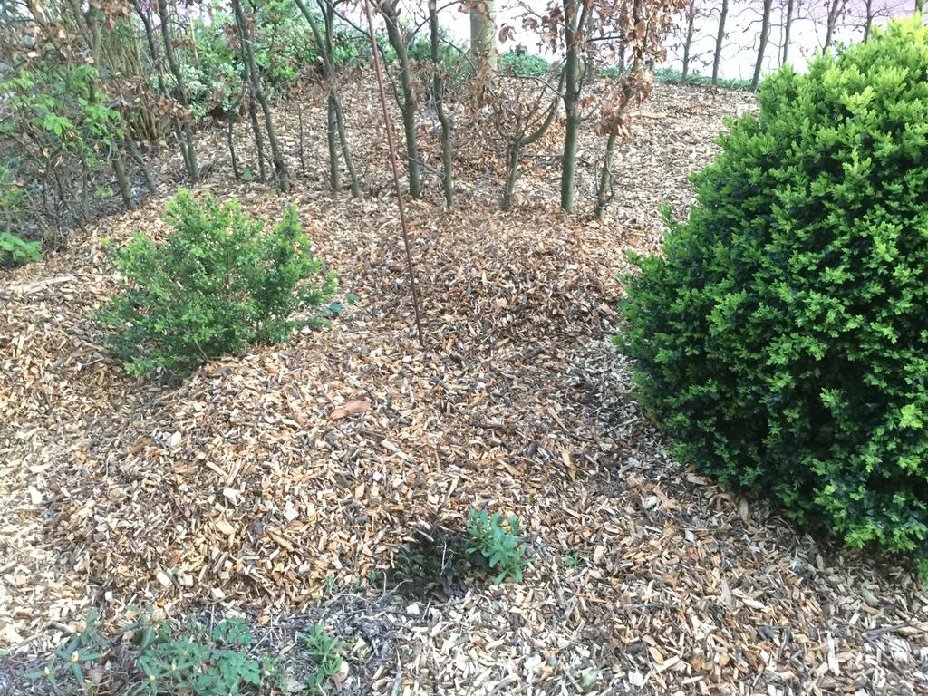 HOUTSNIPPERS COMPOST BODEMBEDEKKING BOOMSCHORS, Ophalen, Boomschors