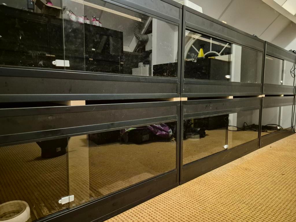 4 x betonplex terrarium 120x60x50 (LxBxH) in nieuwstaat, Dieren en Toebehoren, Reptielen en Amfibieën | Toebehoren, Zo goed als nieuw