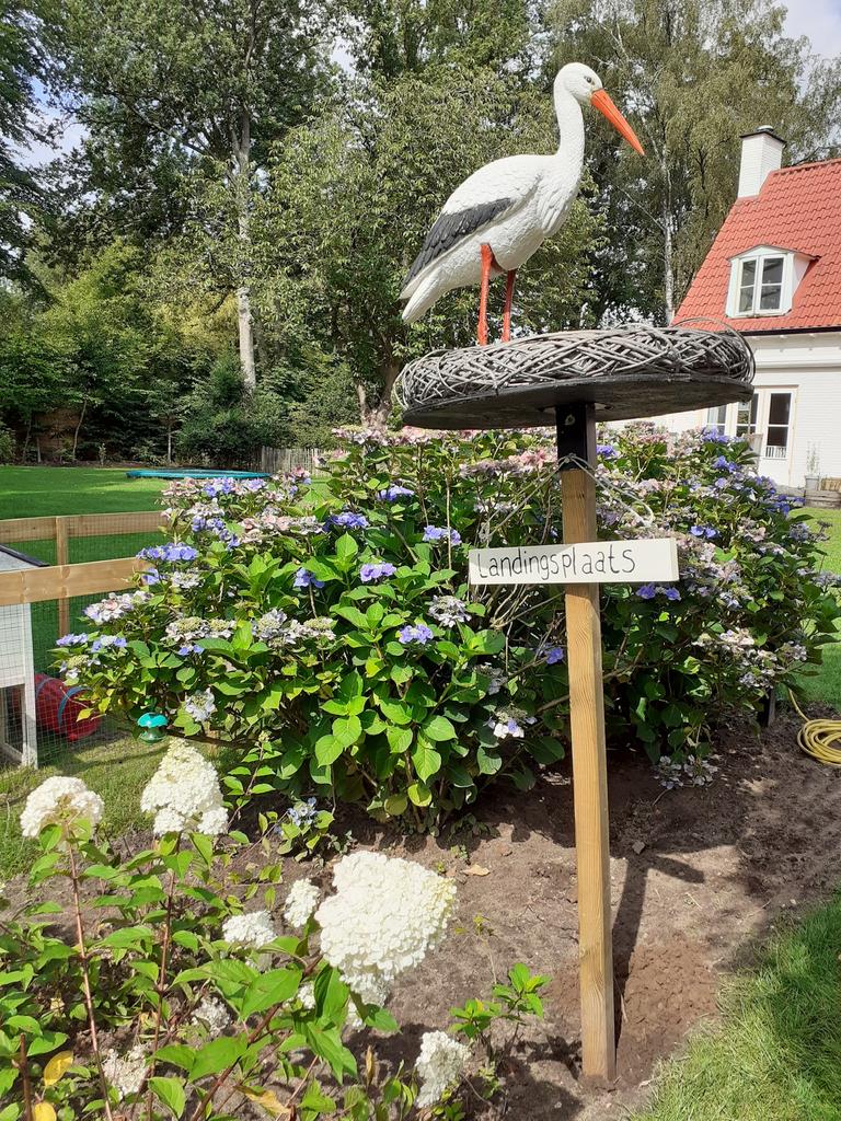 Ooevaar op nest te huur, geboortebord, baby, geboorte, Kinderen en Baby's, Ophalen, Zo goed als nieuw, Geboortebord