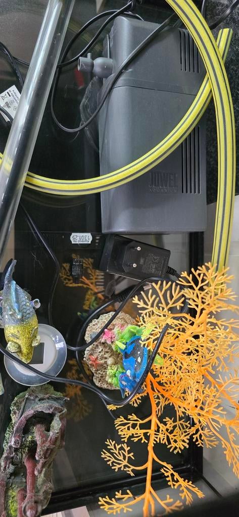 Aquarium 100x61 cm, Ophalen, Zo goed als nieuw, Leeg aquarium