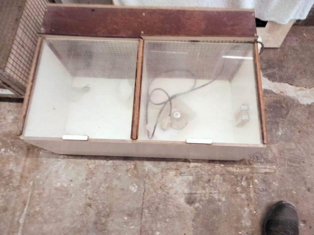 Couveuse voor vogels, Ophalen of Verzenden, Hout, Vogelkooi