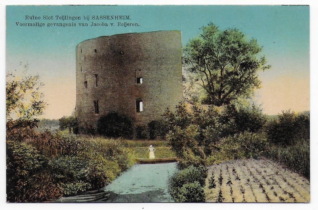 Sassenheim Ruïne Teijlingen Ongelopen Ansichtkaart (B6872 ), Ophalen of Verzenden, 1940 tot 1960, Ongelopen