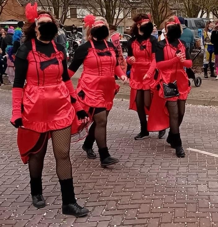 carnavalsjurken, Carnaval, Maat 42/44 (L), Ophalen of Verzenden, Onbekend