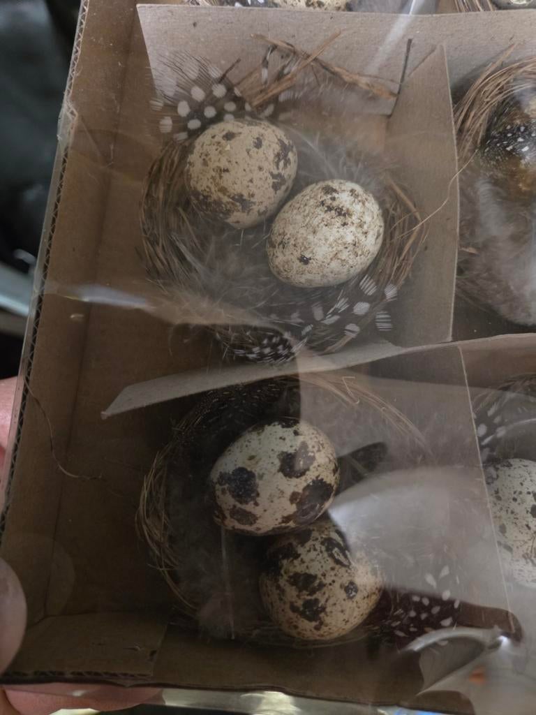 Decoratieve vogelnestjes met eieren, Ophalen of Verzenden, Meerdere media