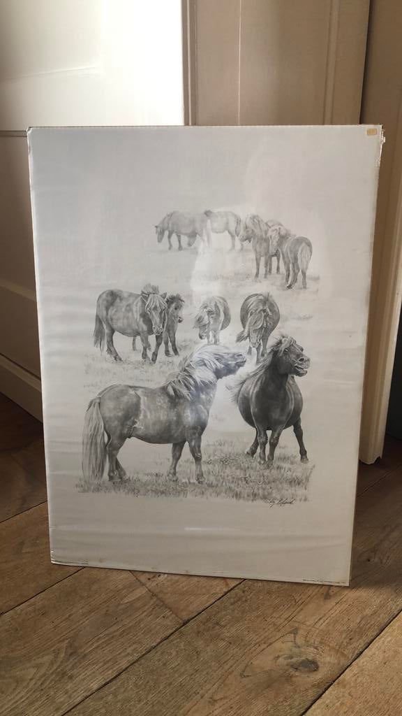 Shetland pony’s ( poster ), Ophalen, A1 t/m A3