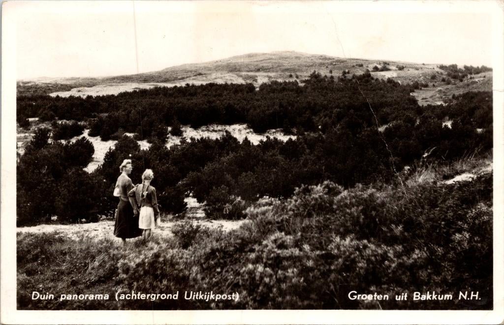 Bakkum - Duin panorama (achtergrond Uitkijkpost) 1954, Verzenden, 1940 tot 1960, Gelopen, Noord-Holland