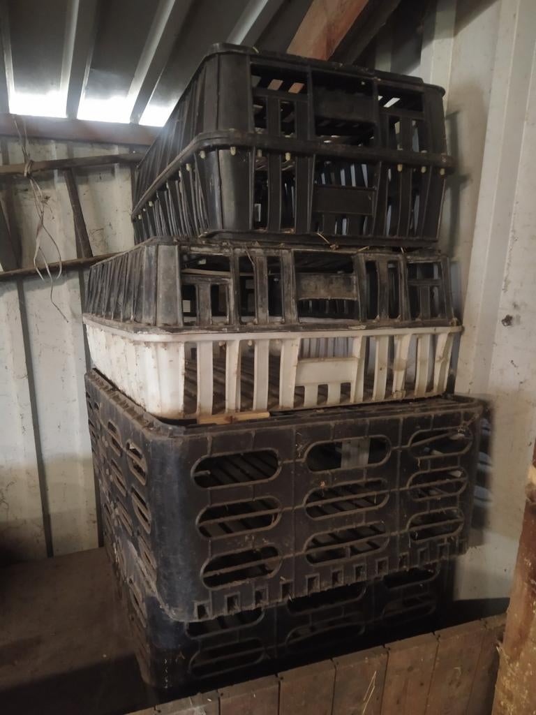 Kippen manden, Ophalen of Verzenden, Kunststof, Vogelkooi