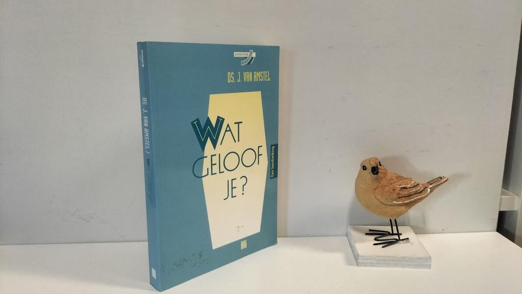 Amstel, Ds. J. van; Wat geloof je? (jongerenperspectief), Ophalen of Verzenden, Gelezen, Christendom | Protestants