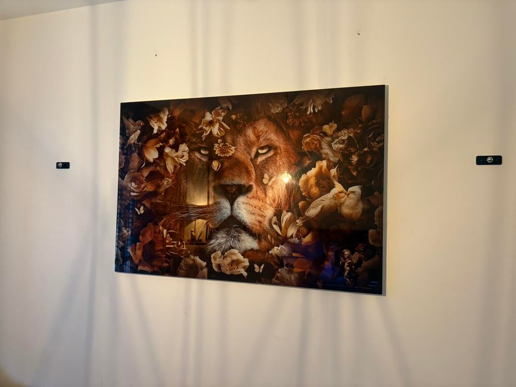 Glasschilderij 120x80, Ophalen