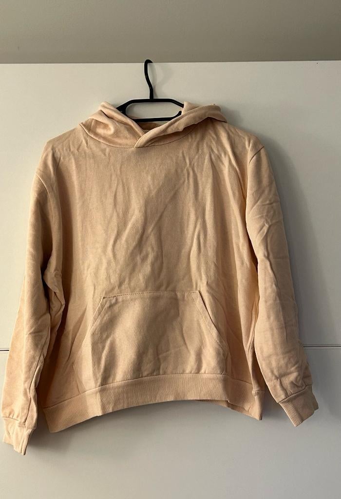 Garçonne hoodie met buidel, Kleding | Dames, Maat 42/44 (L), Ophalen of Verzenden, Zo goed als nieuw, Roze
