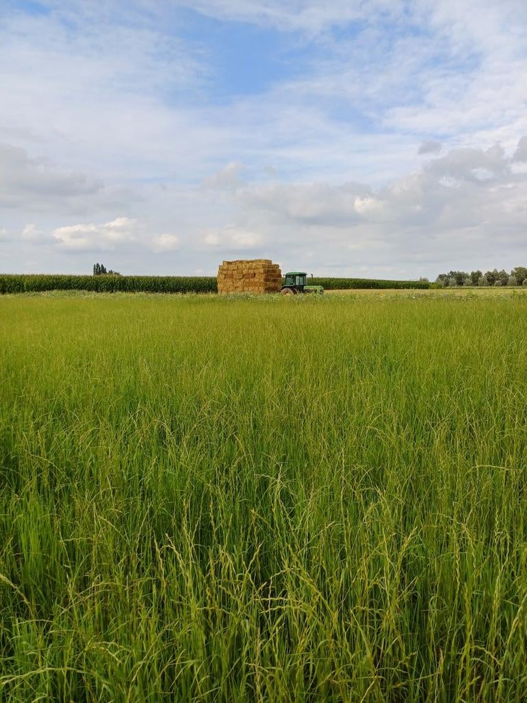 Mooie kleine balen Stro