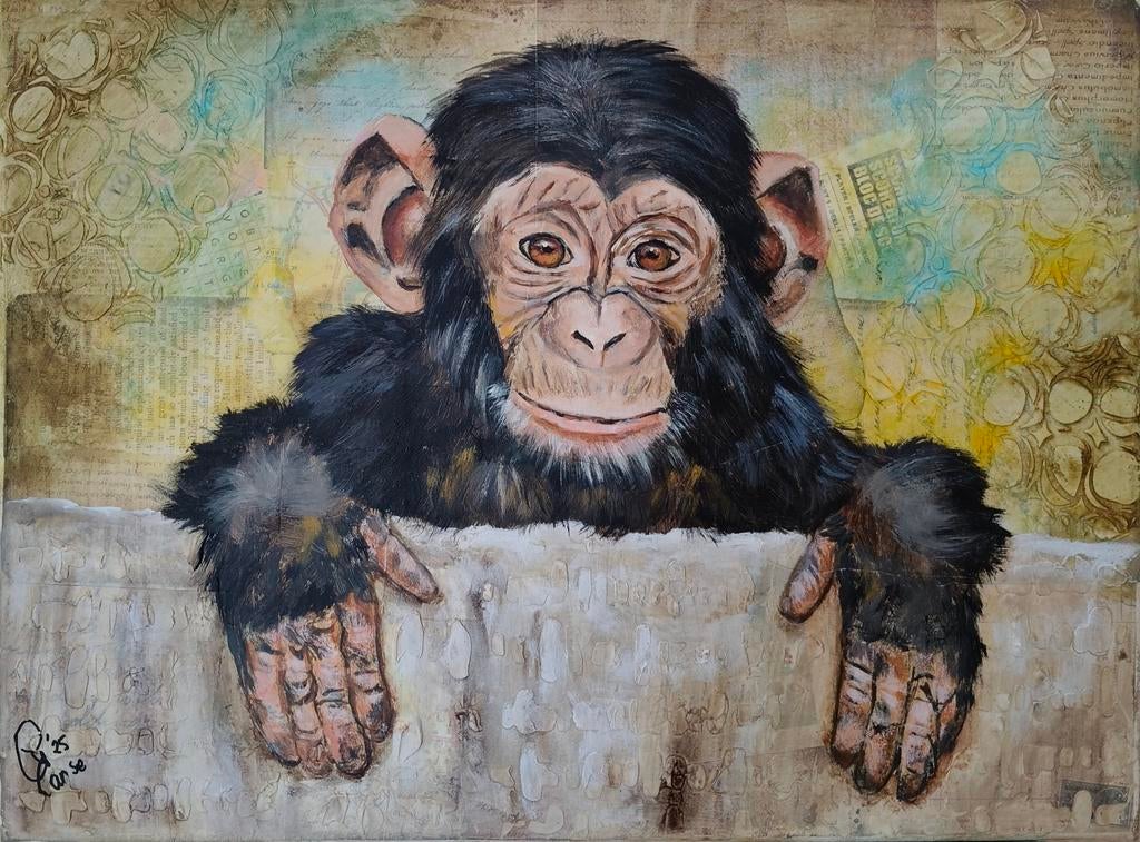 Schilderij chimpansee, Ophalen of Verzenden