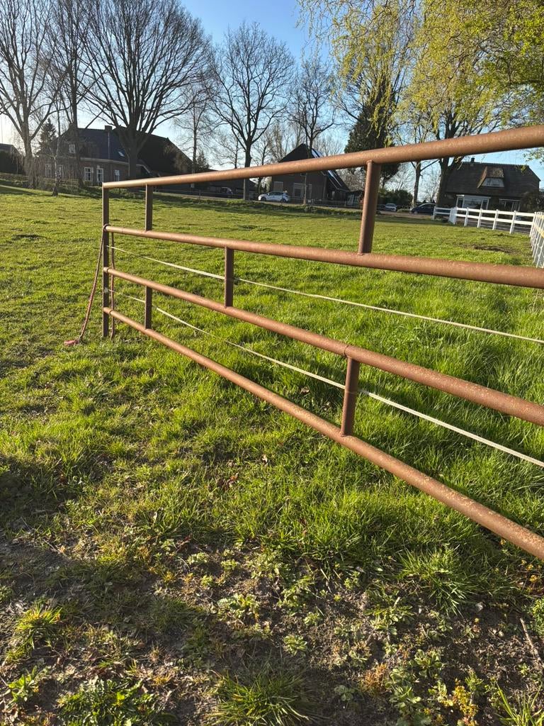 Gezocht: schapen voor begrazing weiland, Weidegang