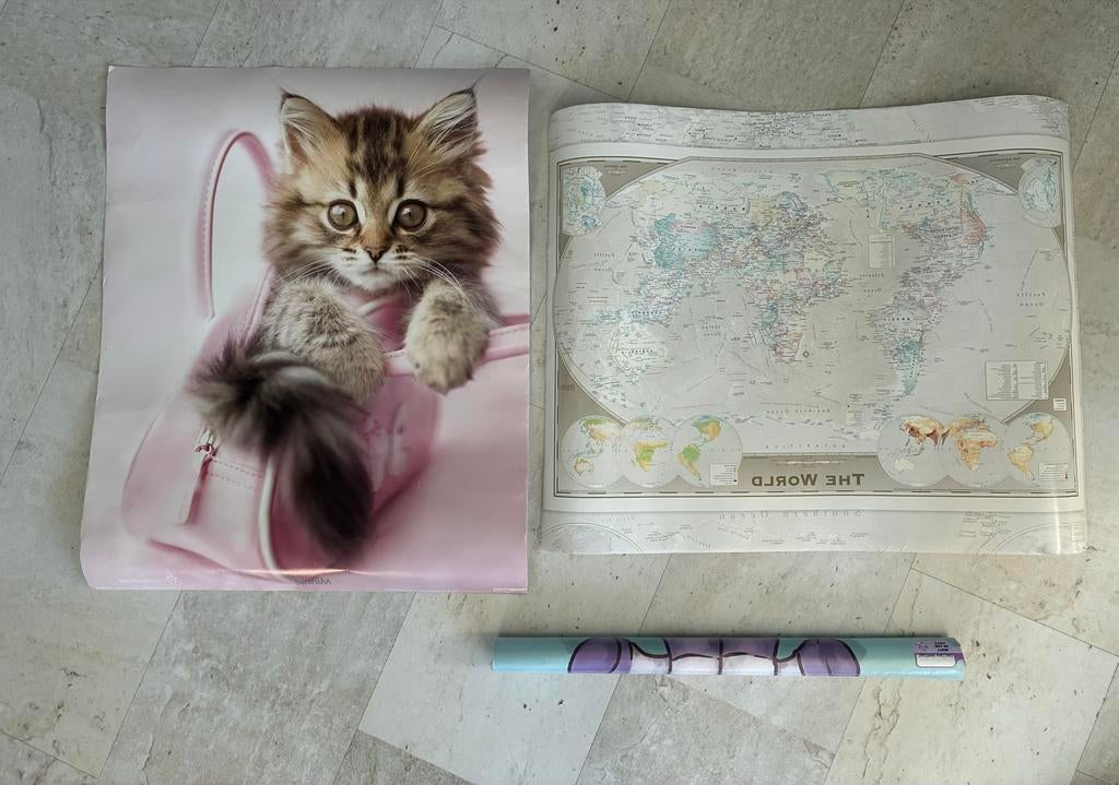 Posters: Schattige kitten en wereldkaart, Rechthoekig Staand, Ophalen of Verzenden, Zo goed als nieuw, A1 t/m A3