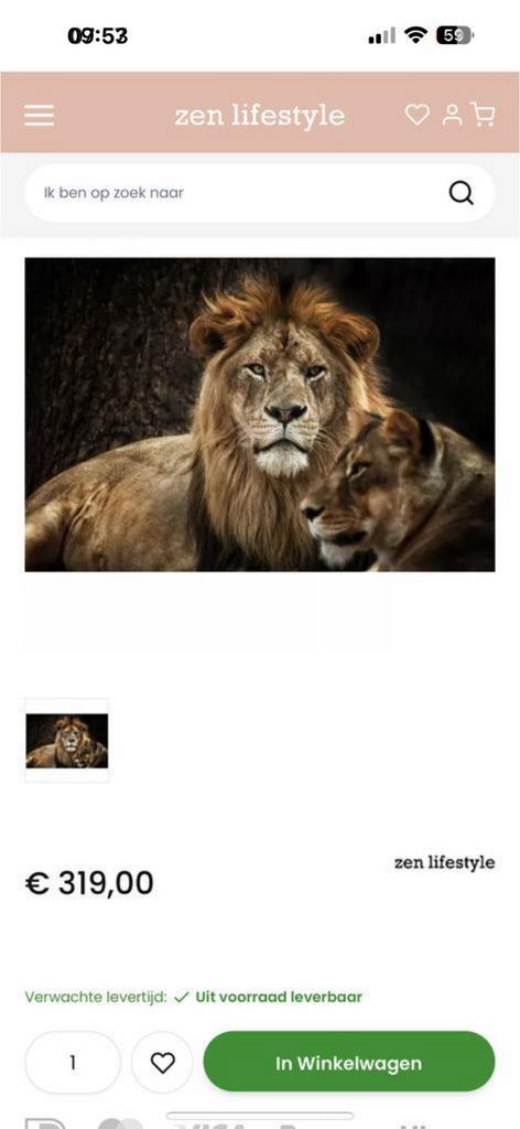 Glassschilderij leeuwenpaar maat 160 cm/ 110cm, Ophalen of Verzenden