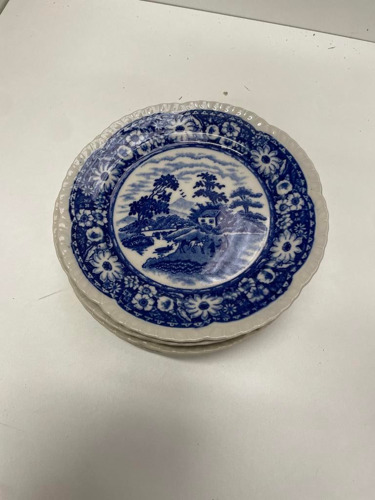 8 Antieke Blauw-Witte Borden - "Wild Rose" Decor, Ophalen