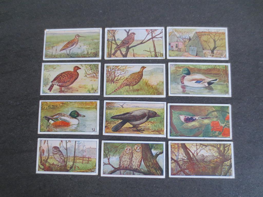 Verkade Verzameling van Plaatjes voor Verkade Album Herfst, Ophalen of Verzenden, Zo goed als nieuw, Overige typen