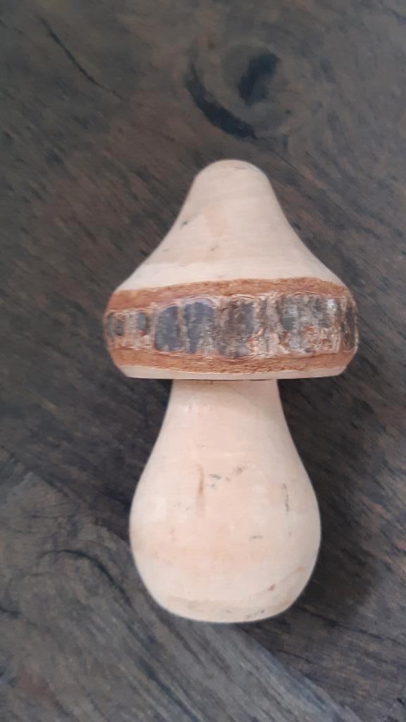 Leuke houten paddestoel, Ophalen of Verzenden, Zo goed als nieuw