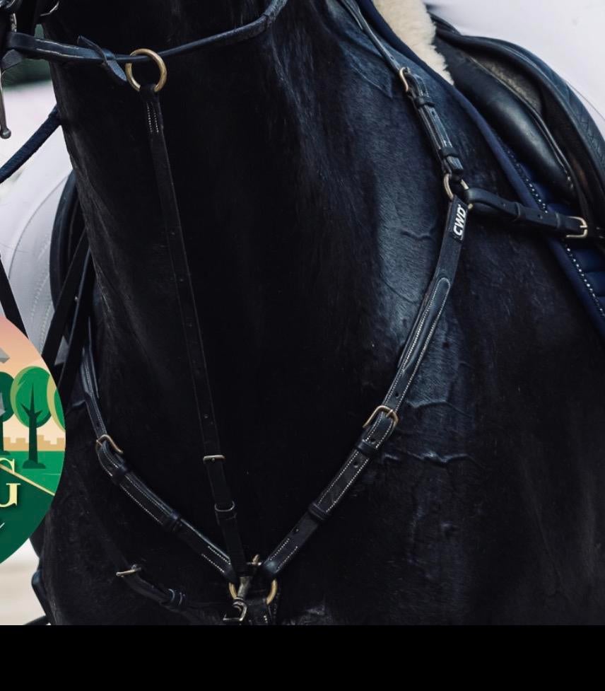 CWD martingaal zwart, Dieren en Toebehoren, Paarden en Pony's | Hoofdstellen en Tuigage, Ophalen of Verzenden, Gebruikt, Overige soorten