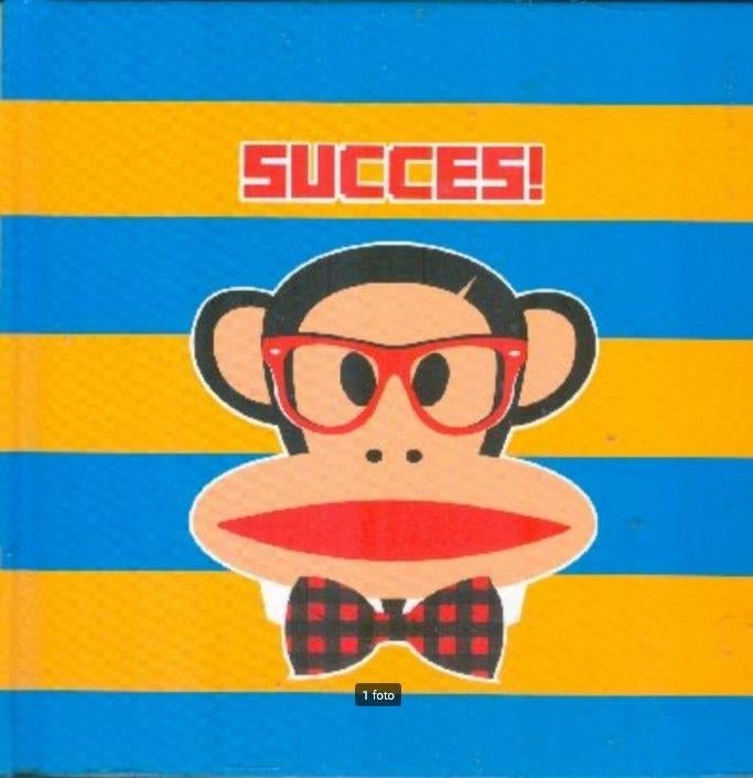 Paul Frank. Succes! Gebonden uitgave NR0747, Verzenden, Gelezen, Fictie algemeen