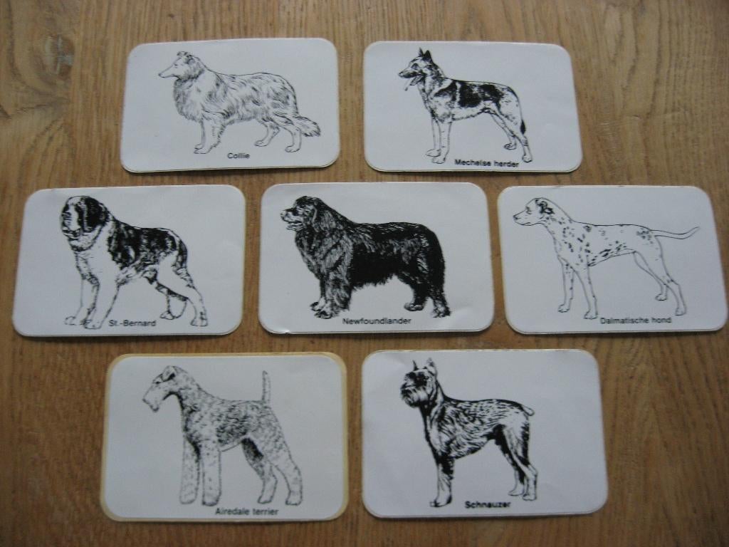Honden Rassen Stickers, Verzamelen, Ophalen, Nieuw, Dier en Natuur