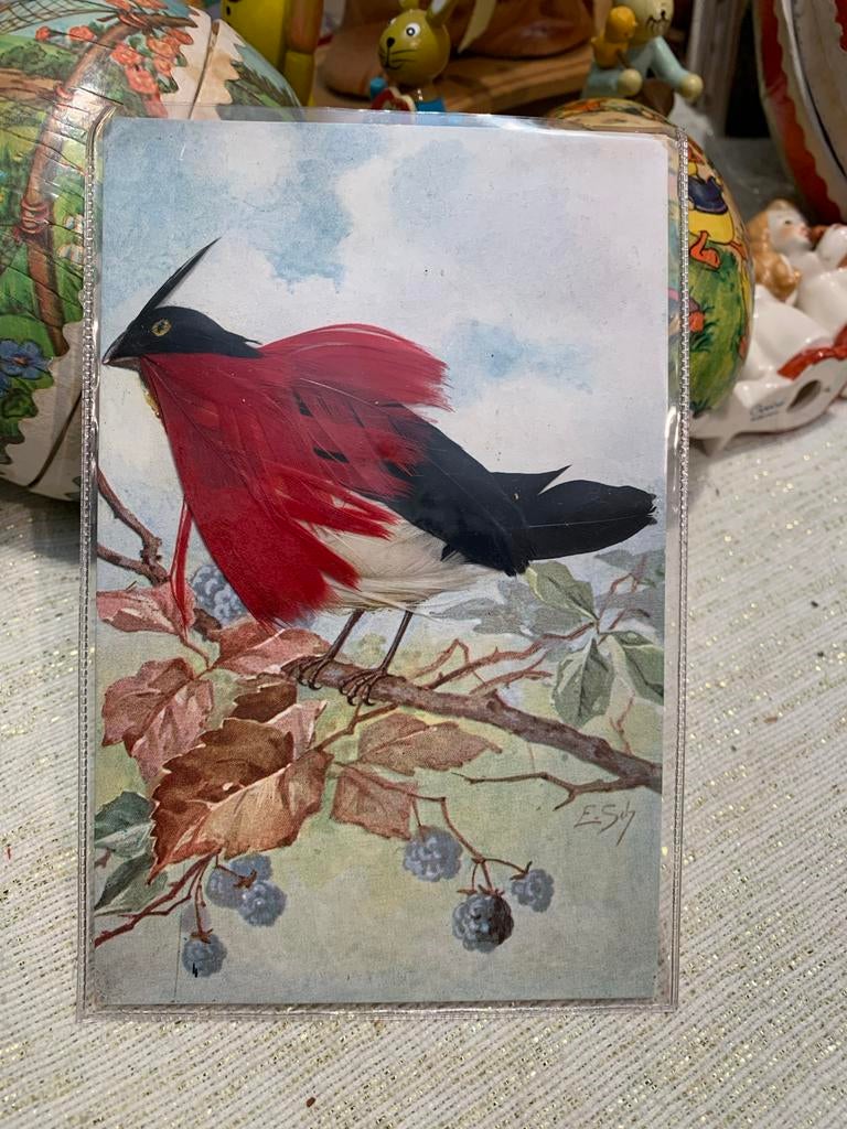 Oude bijzondere Ansichtkaarten met Vogels en echte veren, Antiek en Kunst, Ophalen of Verzenden