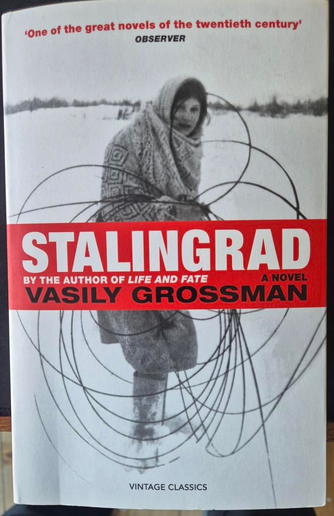 Stalingrad - Vasily Grossman, Boeken, Romans, Ophalen of Verzenden, Zo goed als nieuw, Vasily Grossman, Nederland