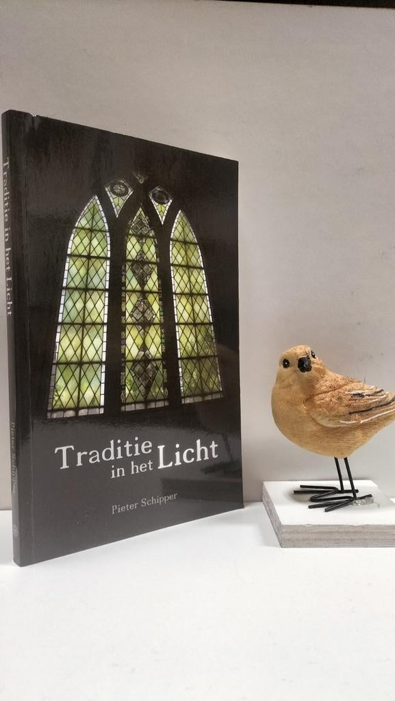 Schipper, Pieter; Traditie  in het Licht, Boeken, Ophalen of Verzenden, Gelezen, Christendom | Protestants