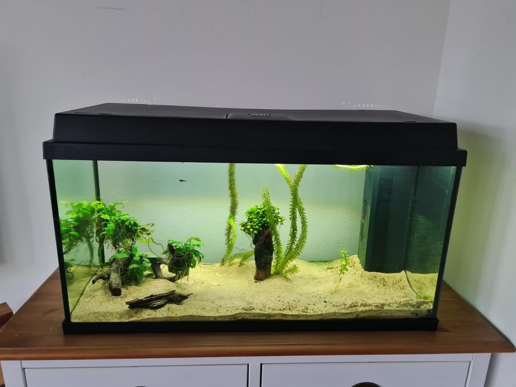Aquarium JUWEL Primo 110, Dieren en Toebehoren, Ophalen, Gebruikt, Inclusief planten, Leeg aquarium