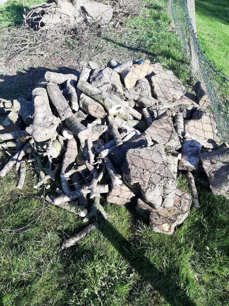 Haardhout, Tuin en Terras, Minder dan 3 m³, Ophalen, Berkenhout, Blokken