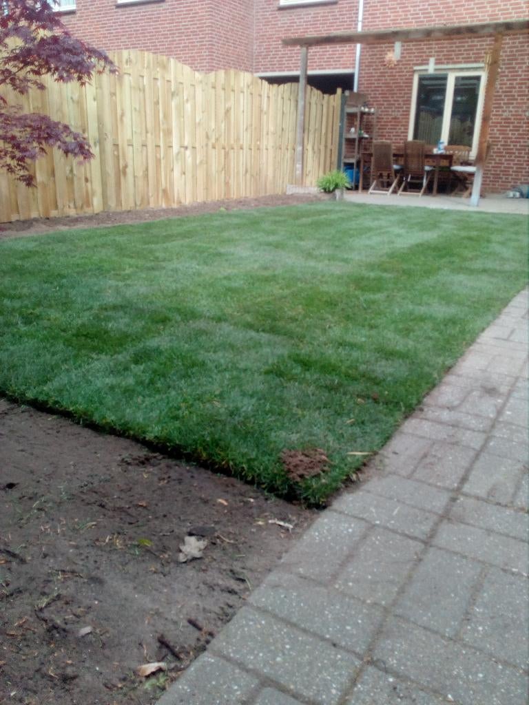Graszoden laten leggen lente= graszoden leggen Oisterwijk, Ophalen of Verzenden, Nieuw, 20 m² of meer