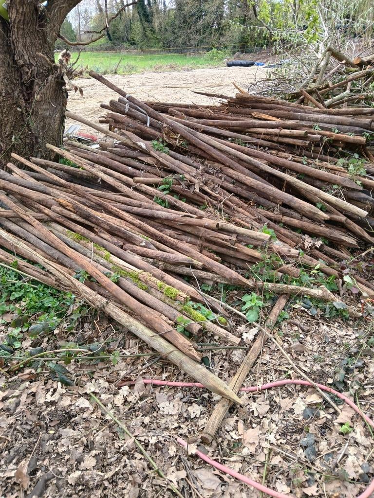 Gratis paaltjes, Ophalen of Verzenden, Gebruikt, Minder dan 180 cm, Palen