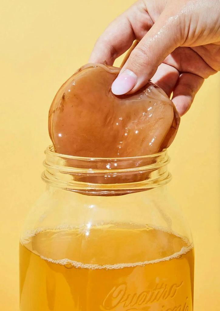 Scoby voor kombucha + startersvloeistof, Ophalen of Verzenden