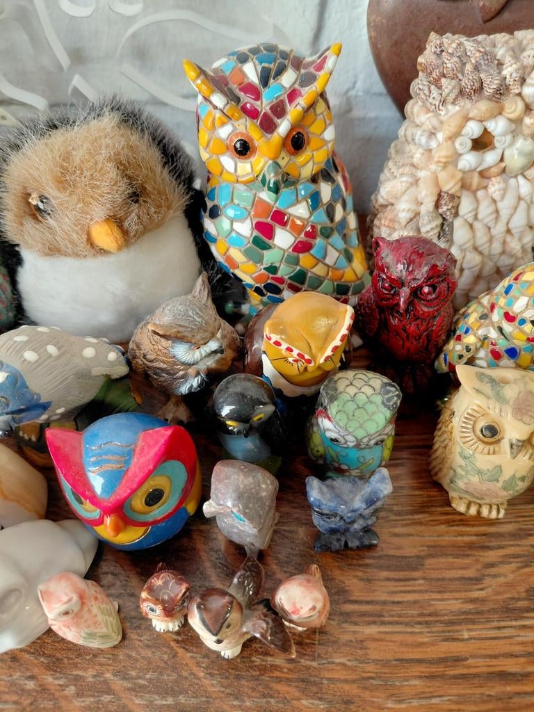 Verzameling uilen., Ophalen