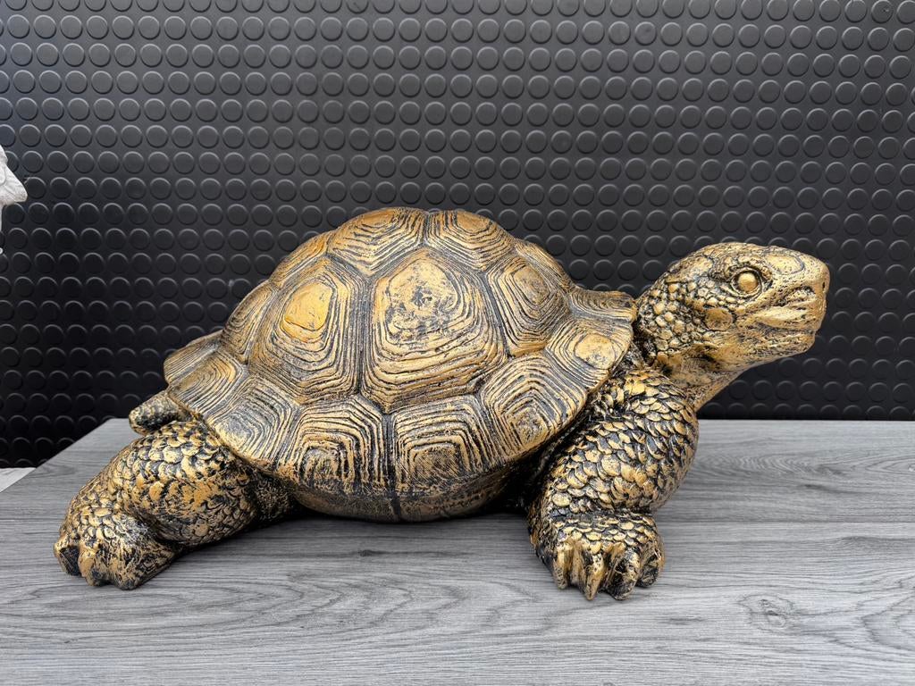 schildpad (goud/zwart) 23hoog 60breed/Nieuw!, Ophalen, Nieuw, Dier