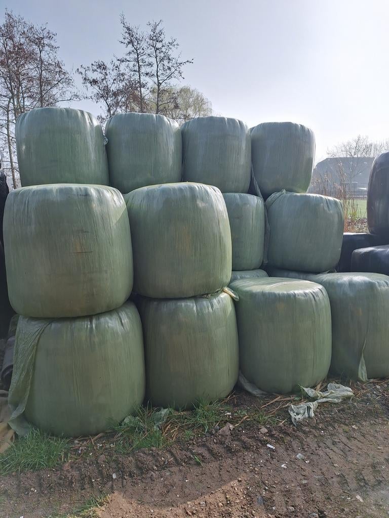 Midibalen, Dieren en Toebehoren, Dierenvoeding, Ophalen of Verzenden, Vee